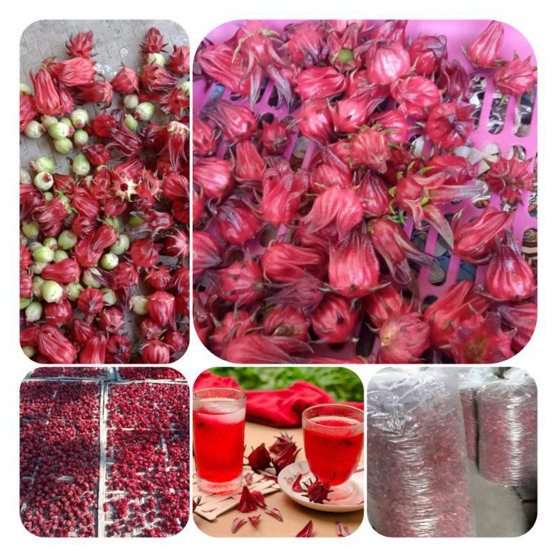 ROSELA MERAH KERING 1KG