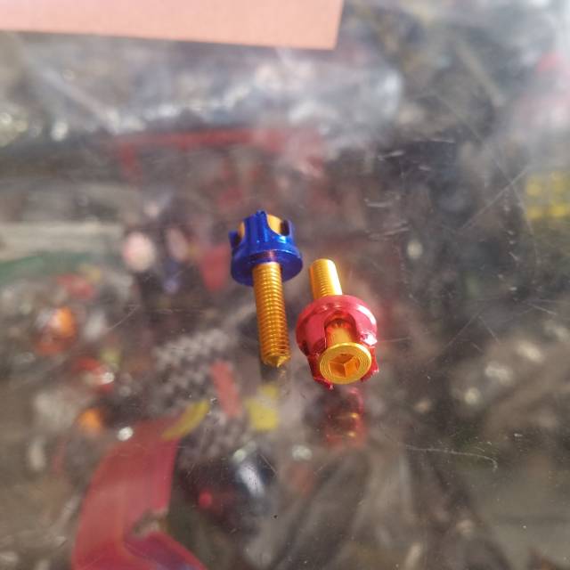 Baut probolt+ring drat 10