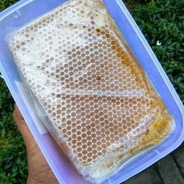 

Madu Sarang Asli 500gram