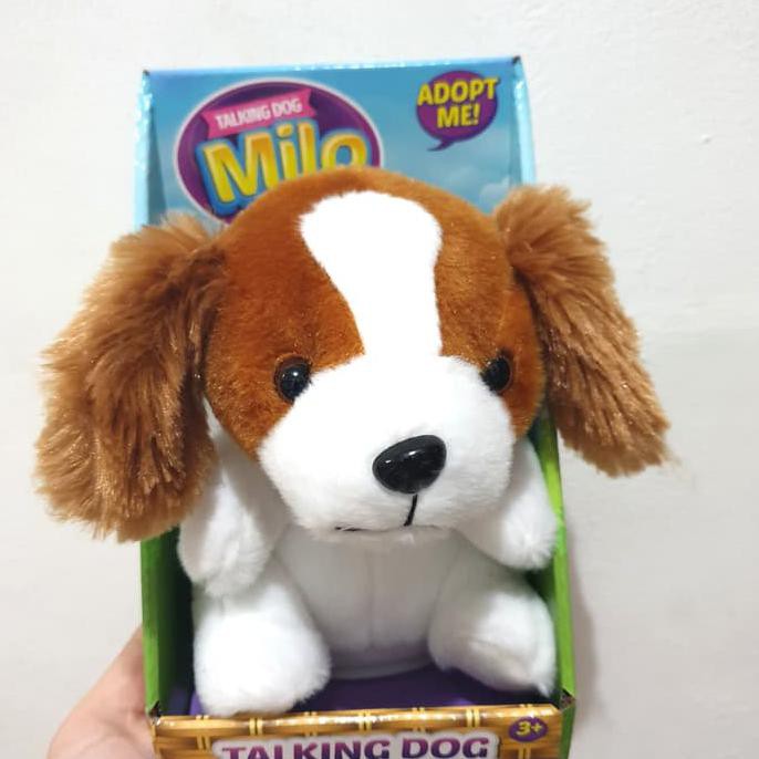 talking toy dog