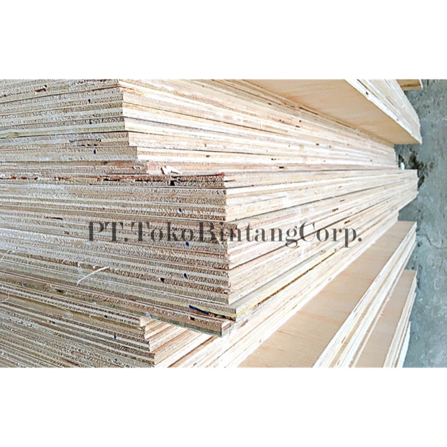 MULTIPLEKS MULTIPLEKS TRIPLEX TRIPLEKS PLYWOOD  12mm  MC 