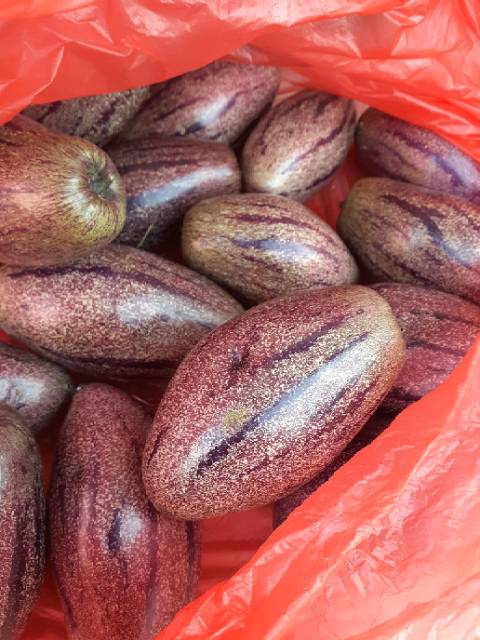 

Buah Pepino/buah put paket 2kg
