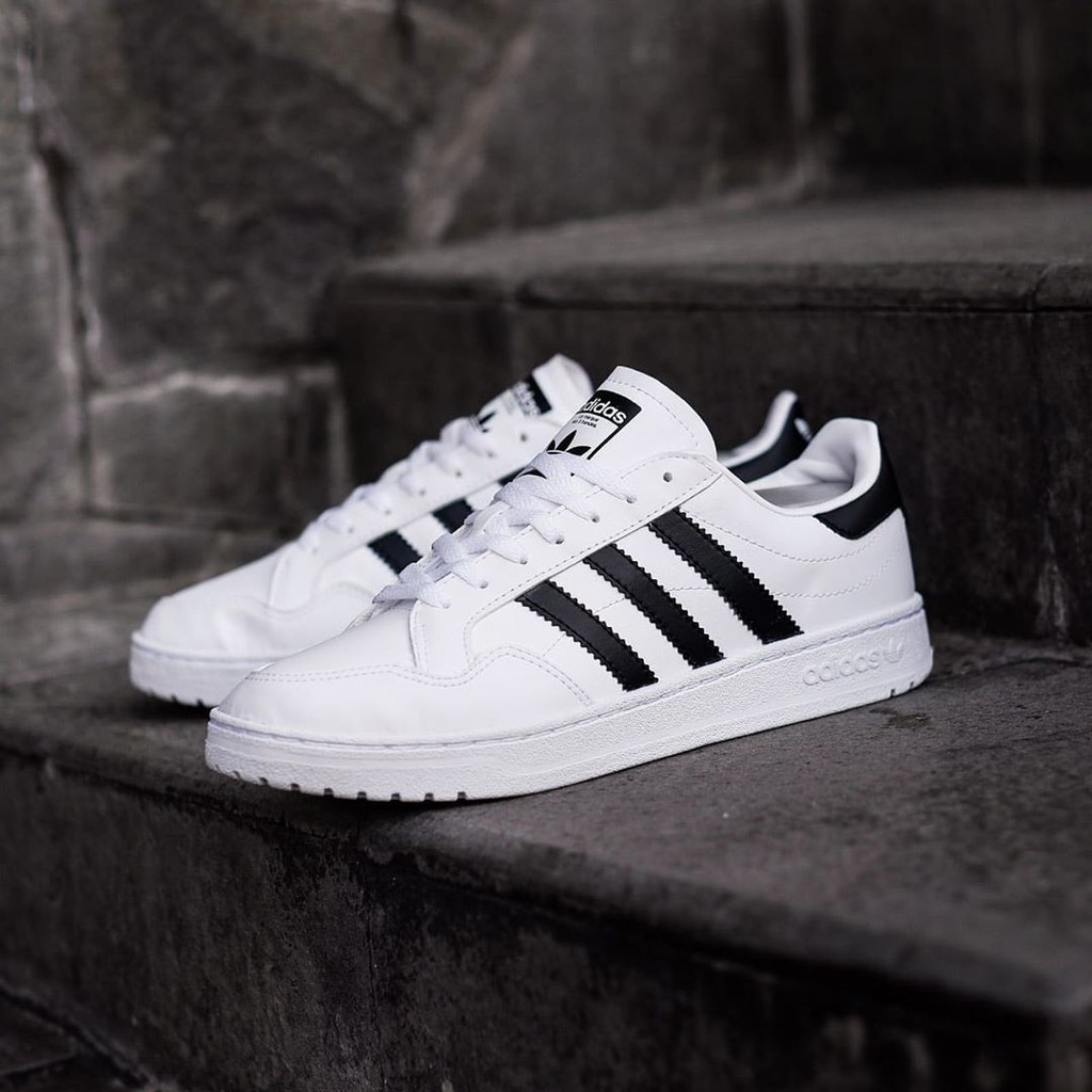 adidas team court white black