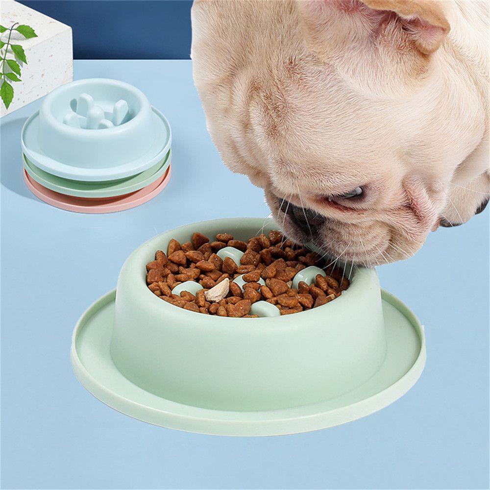 Mangkok Makan Lambat Perlengkapan Hewan Peliharaan Plastik Anti Slip Anti Tersedak Mangkuk Dispenser Makanan Puppy Mangkuk Pet Baskom