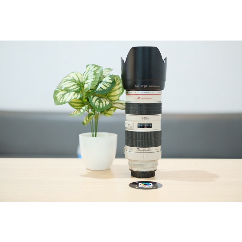 lensa canon 70-200mm f2.8 L mulus