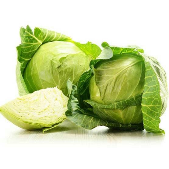 Benih Bibit Biji - Kubis Kobis Kol Hijau F1 Hibrida Clever Cabbage Seeds - Panen Dalam 70 Hari