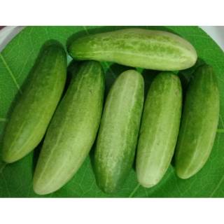 

timun 500gr | sayuran bandung