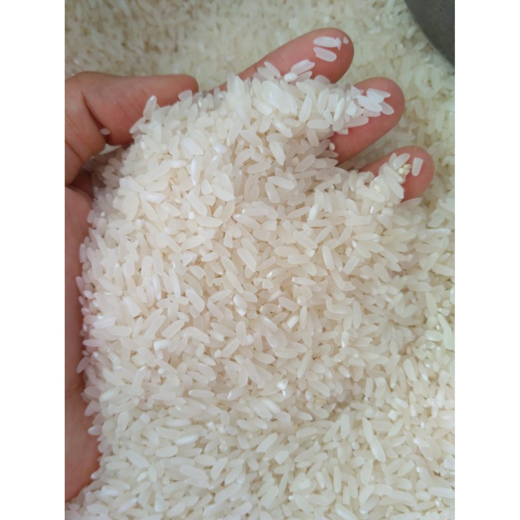 Beras Padang Solok Ir 42 Beras Pera Premium Indonesia
