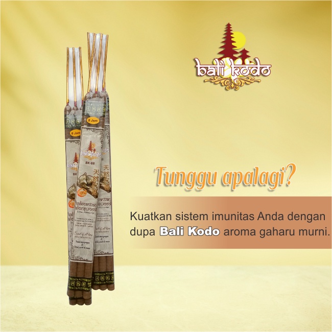Dupa Hio Wangi Harum Bali Kodo Gaharu Kalimantan 8 Jam 3 Batang Putih