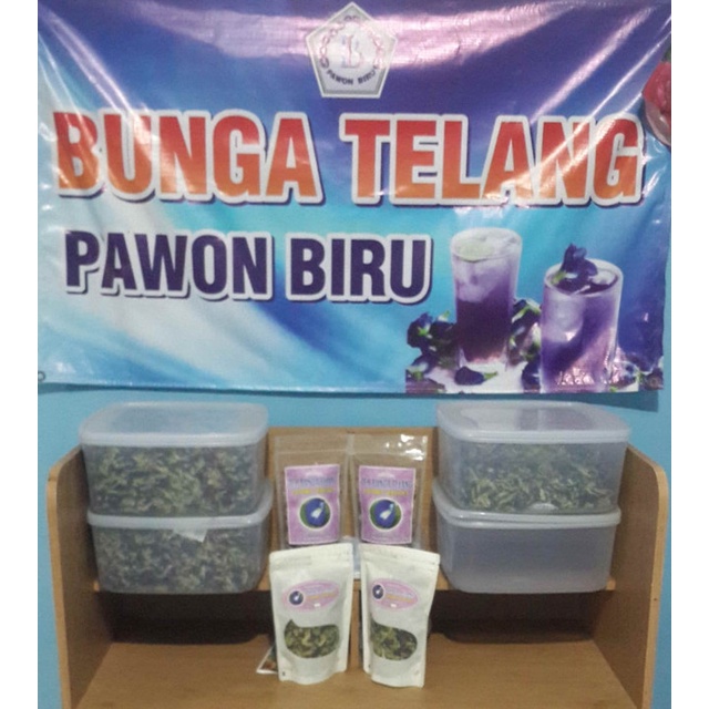 

Bunga Telang