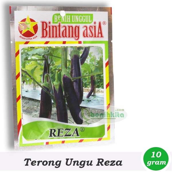 Benih-Bibit Terong Ungu Reza (Bintang Asia)