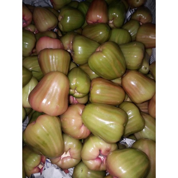 

Buah Jambu Cingcalo Manis Fresh 1Kg