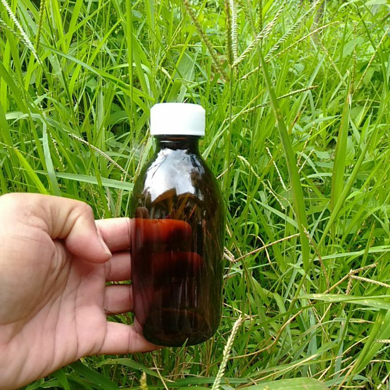 Botol  kaca coklat 200ml