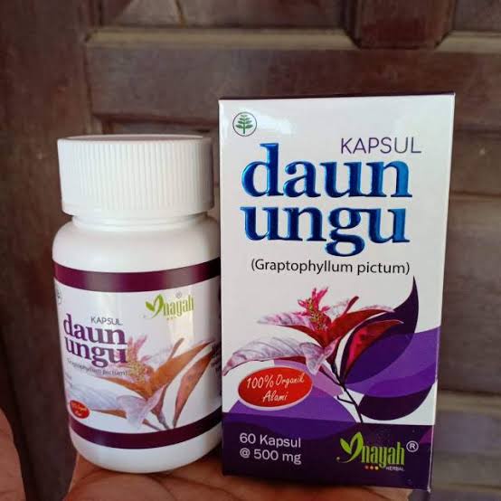 OBAT WASIR AMBEIEN AMBEYEN AMBIEN PALING AMPUH HALAL HERBAL ORIGINAL - KAPSUL DAUN UNGU INAYAH