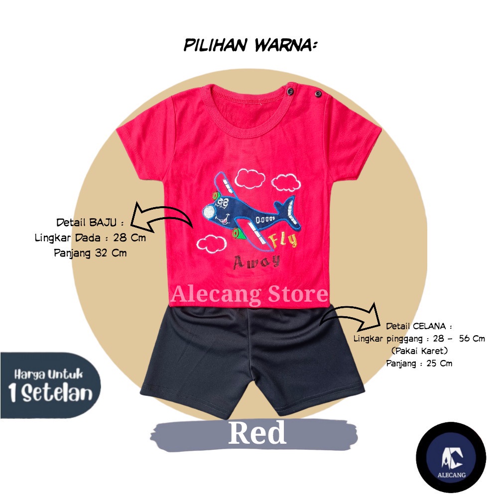 Setelan Pendek Baju Bayi Laki-laki size 6 - 12 Bulan Merk EDRYCA