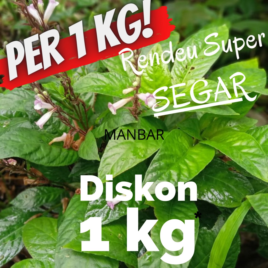 

Daun Rendeu segar 1 kg