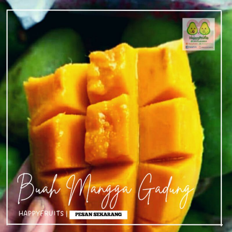 

BUAH MANGGA GADUNG MANGGA HARUM MANIS HAPPYFRUITS 1KG