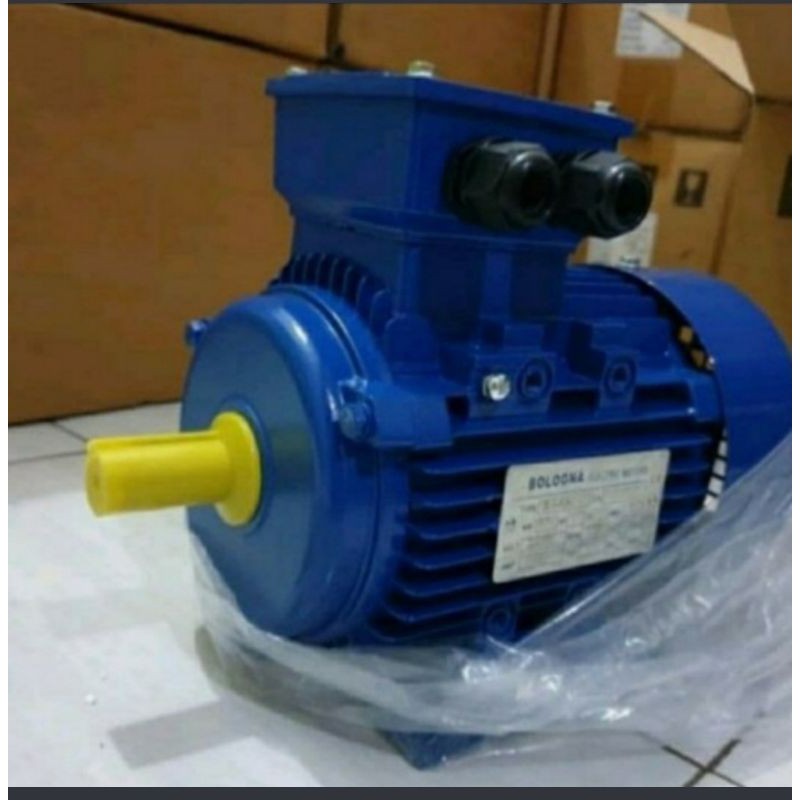 Dinamo penggerak bologna 0.5hp 2pole 2800rpm 1 phase