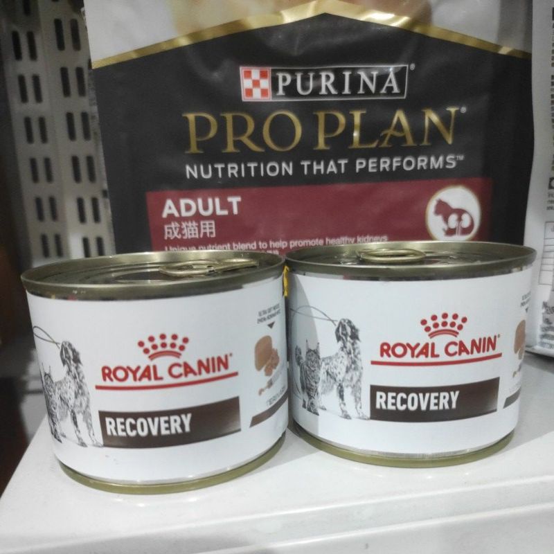 Royal Canin Recovery kaleng 195g makanan basah kucing