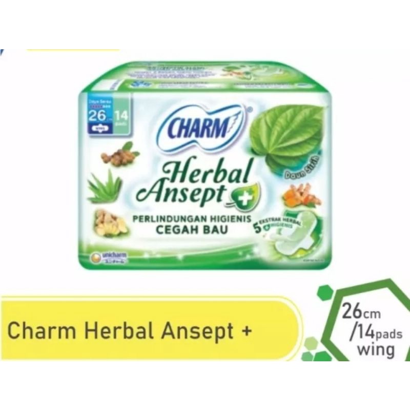 CHARM Herbal Ansept+ 26cm 14 pads