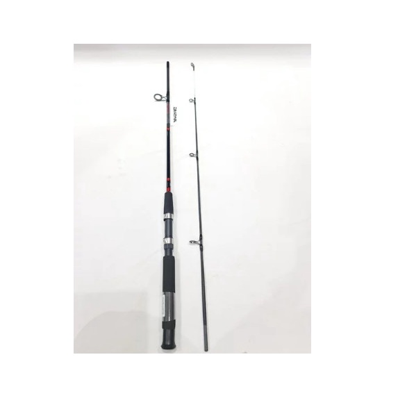 Joran Daiwa Jupiter Power Tip 165 cm