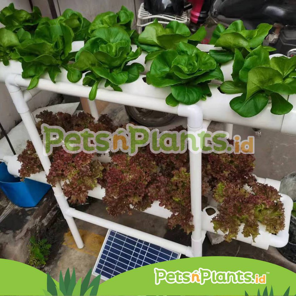 HIDROPONIK SET LENGKAP PIPA 3,5 INCH 9 CM FOOD GRADE IMPORT 40 LUBANG PENGGANTI SISTEM DUTCH BUCKET
