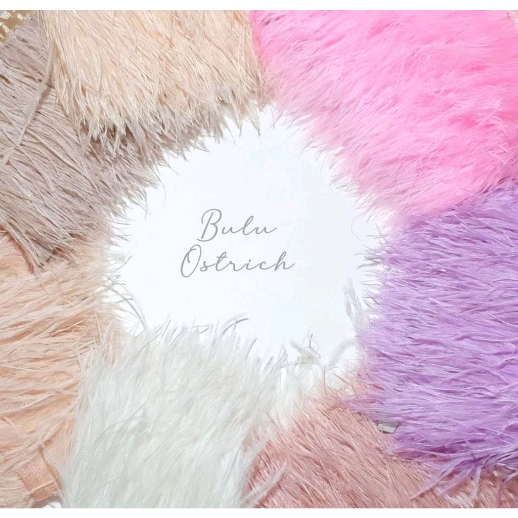 Payet bulu ostrich per 10cm