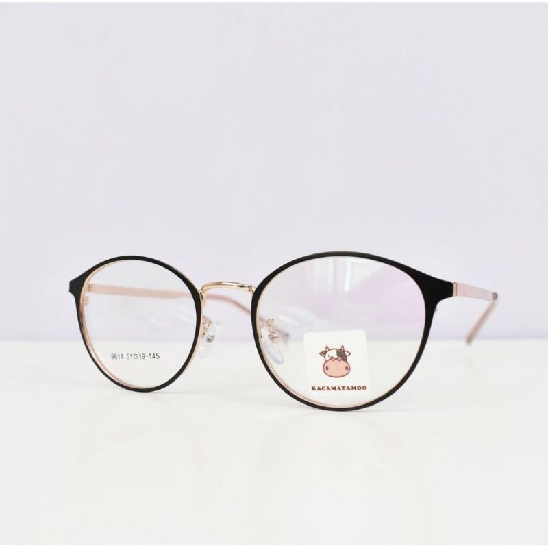 frame kacamata Dior besi