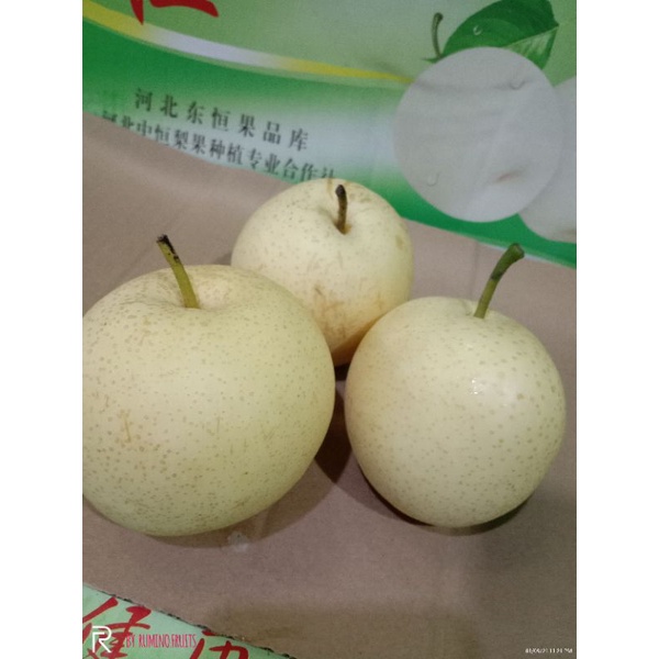 

PIR CENTURY/PIR MADU 1 KG 28,000