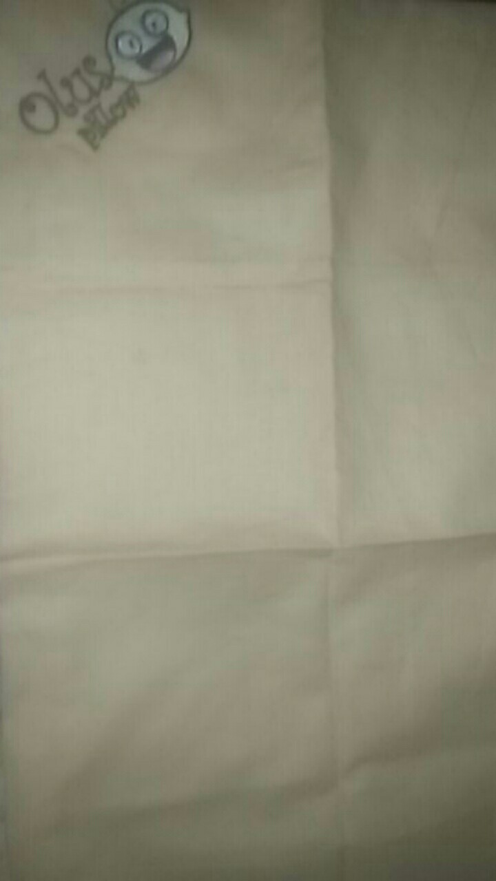 Sarung Bantal Cadangan Olus Pillow