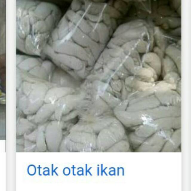 

Otak2 ikan