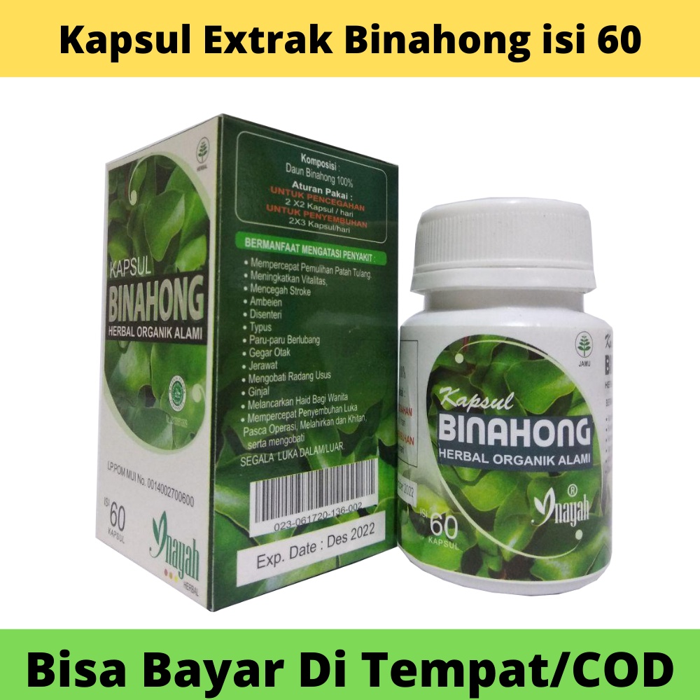 Kapsul Daun Binahong - Inayah - Obat Asam Urat/Cegah Stroke