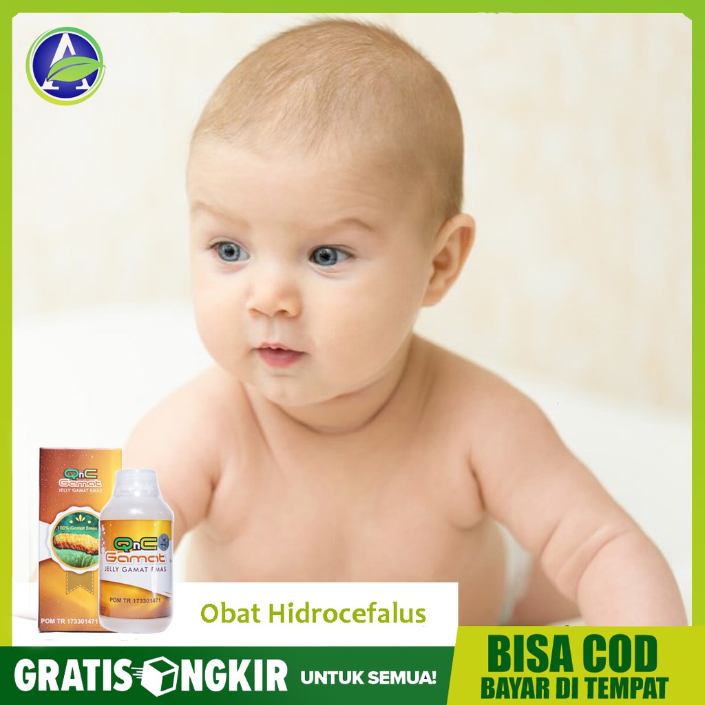 Obat Hidrocefalus, Hidrosefalus, Pembesaran Kepala QnC Jelly Gamat ASLI - Bisa COD - Legal BPOM