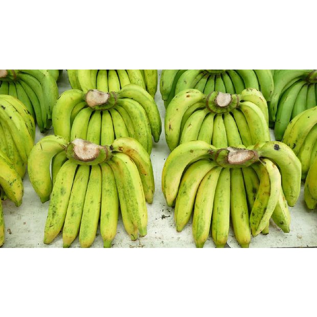 

Pisang Ambon / Pisang Ijo