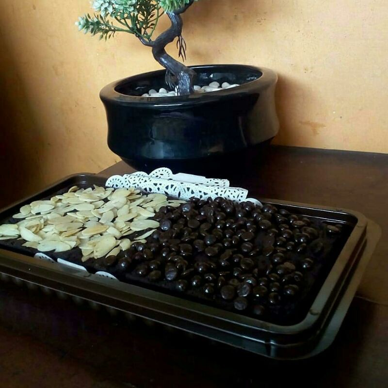 

brownies panggang