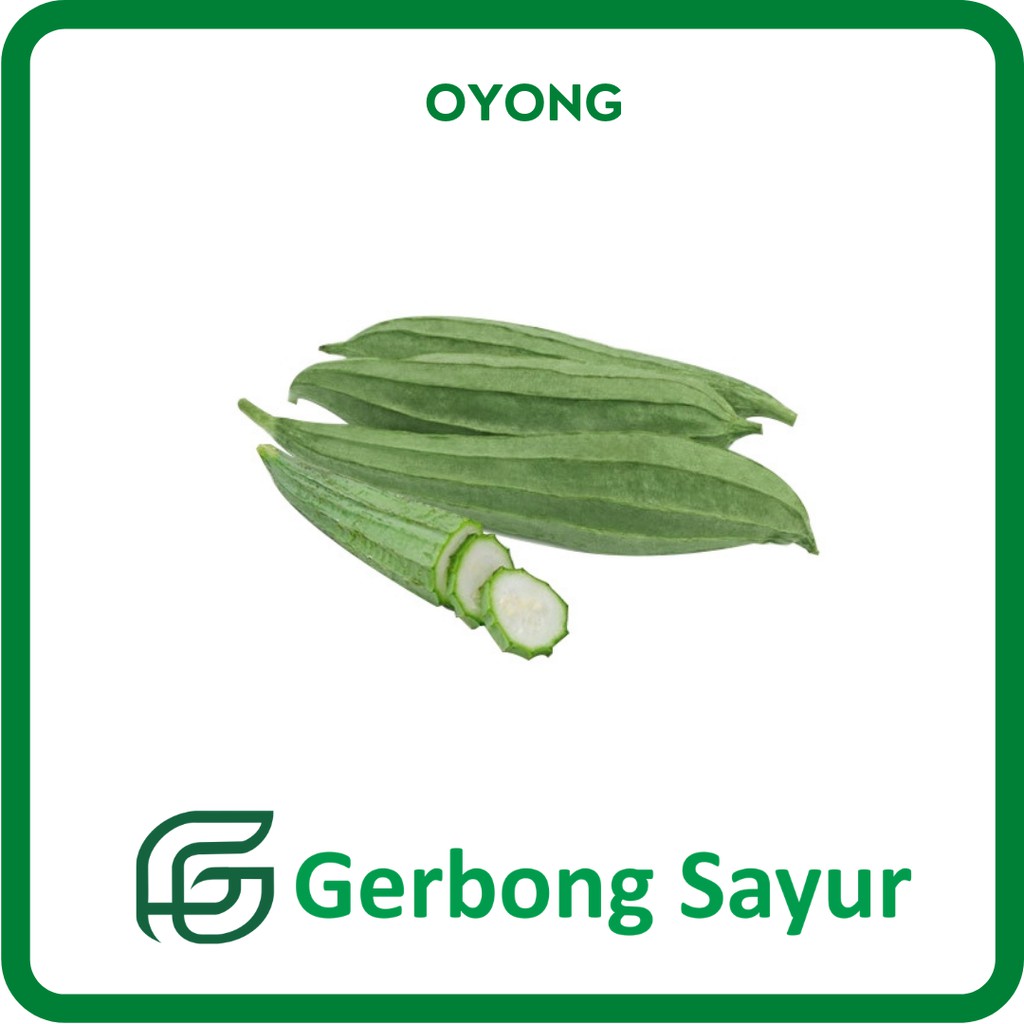 

Sayur Oyong - Sayur Gambas Segar - 500g