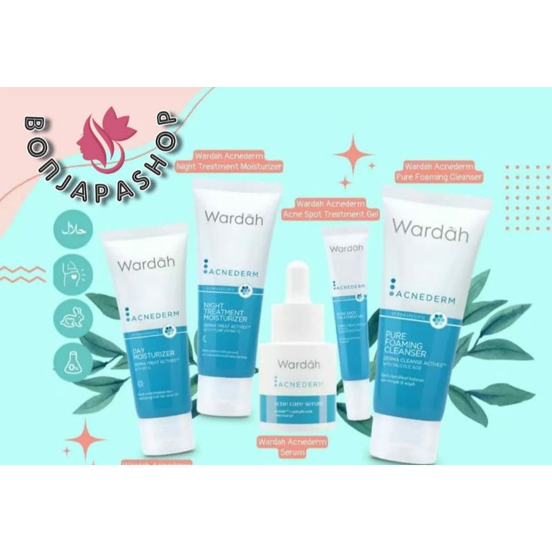 Wardah Paket Acnederm