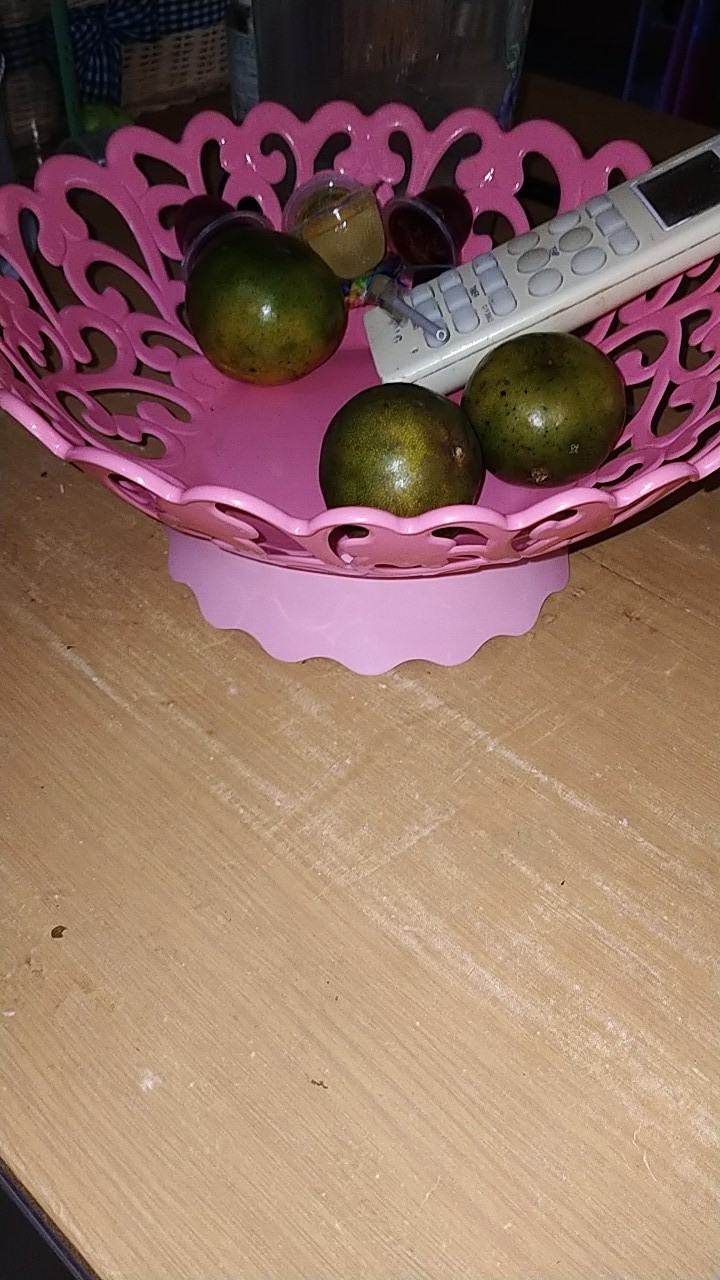 (dobel Bubble)tempat Buah Pink (tb 120 Golden Lemon)