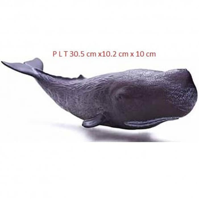 Promo Mainan Miniatur Hewan Recur Physeter Macrocephalus Ikan Paus Sperma Berkualitas Shopee Indonesia