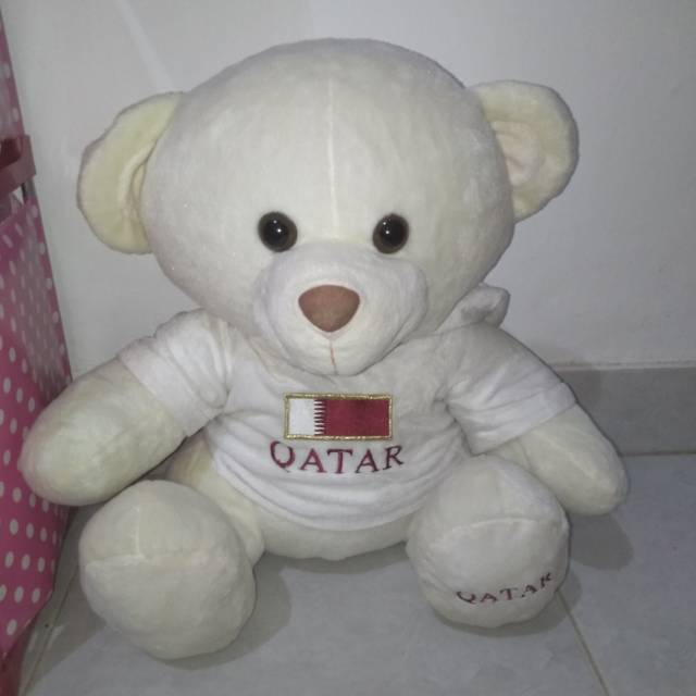 Teddy kostum hoddie
