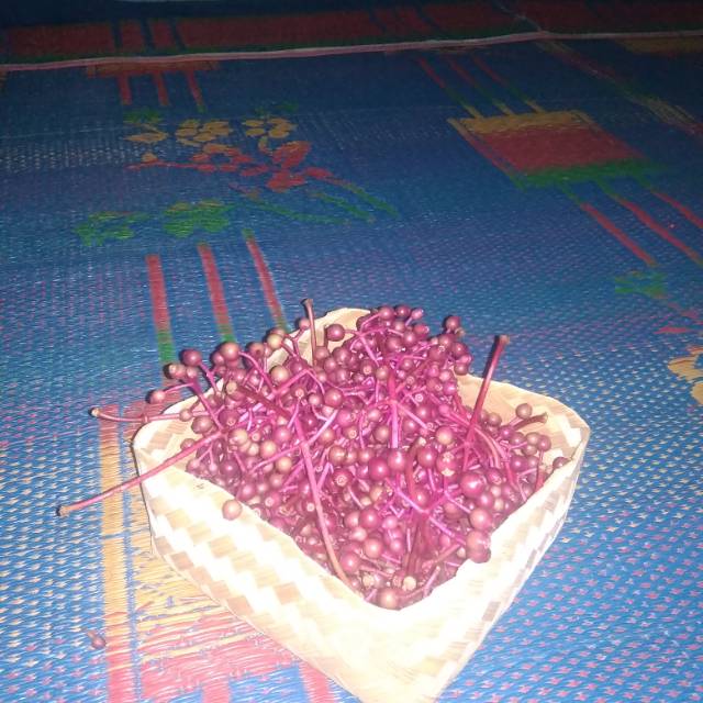

Buah parijotho promil