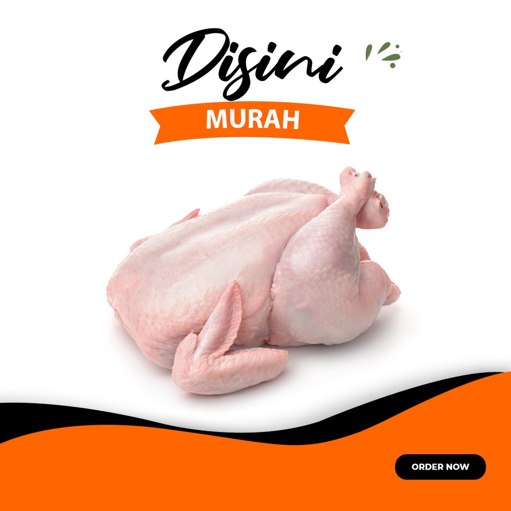 

Ayam per ekor