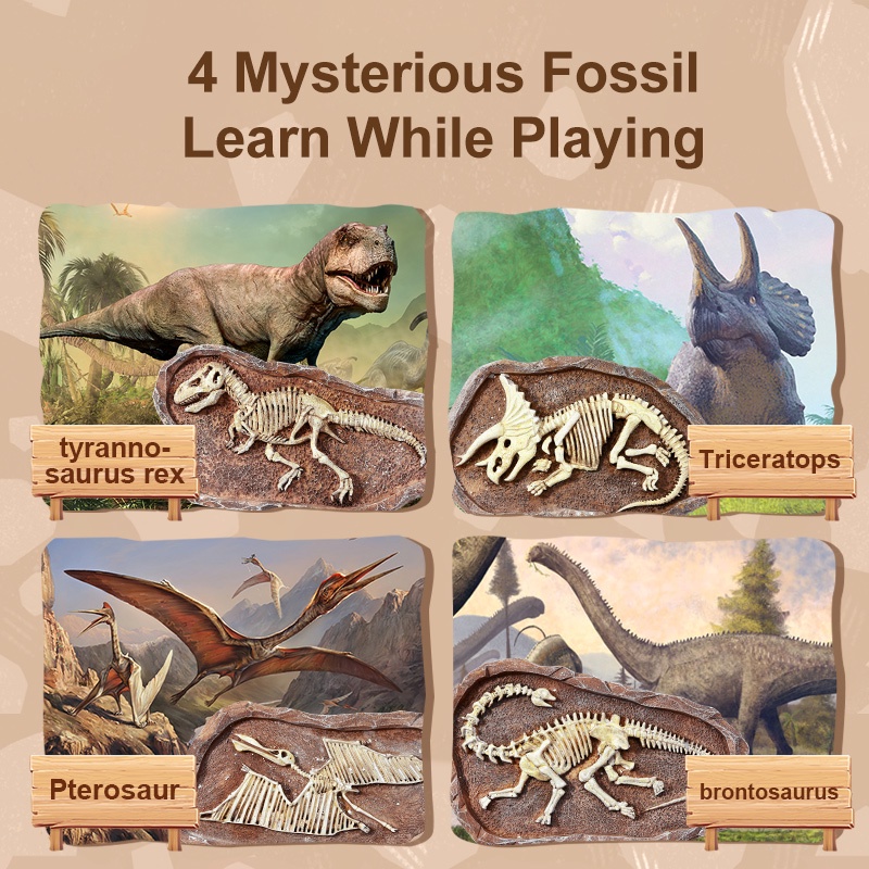 TweedyToys - Mideer Steam Arkeolog / Mideer Steam Games Revive Fossil Dinosaurus / Mainan Edukasi Anak