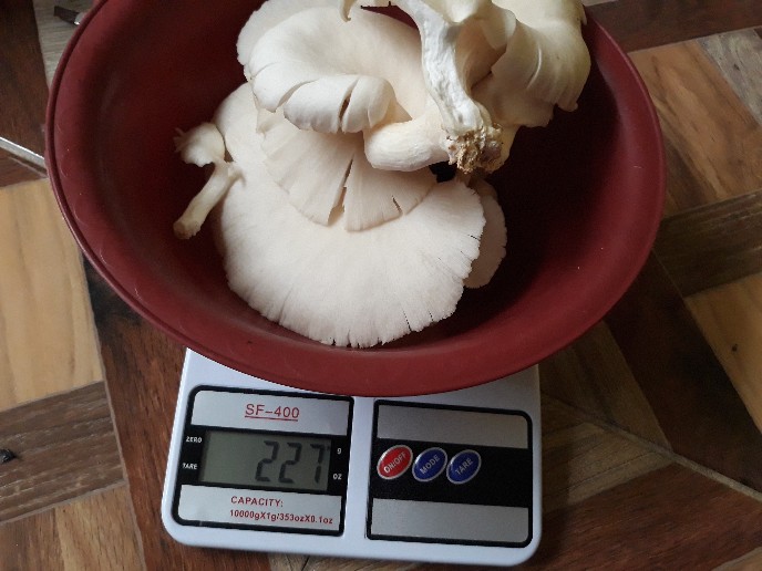 Electronic Kitchen Scale Sf-400 | Timbangan Dapur Digital 10 Kg