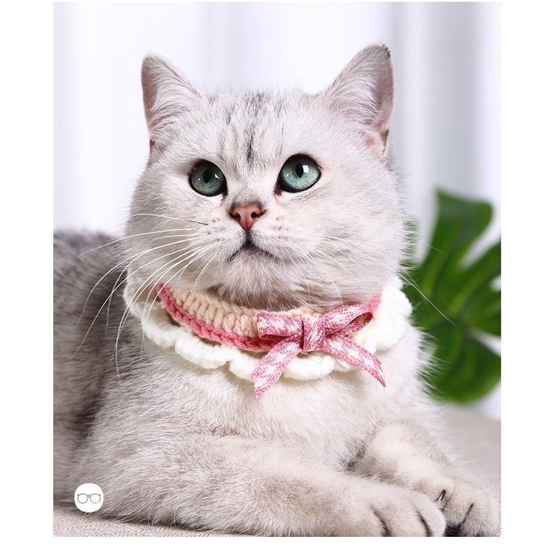PH.Medan Kalung Kucing/Anjing motif Renda Premium untuk Hewan Peliharaan