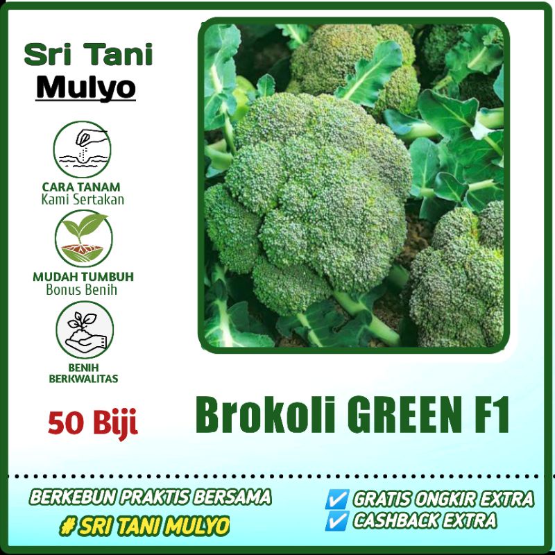 50 Biji Bibit Benih Sayur Brokoli Green F1 - Toleran Panas / Bibit Sayur Dataran Rendah / Sayuran HA