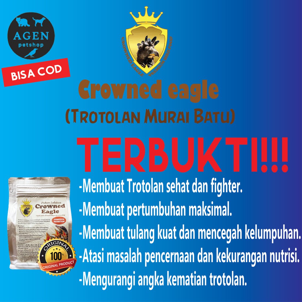 TERBAIK Pakan Burung Murai Batu Agar Cepat Bertelur CROWNED EAGLE FIGHTER TROROLAN