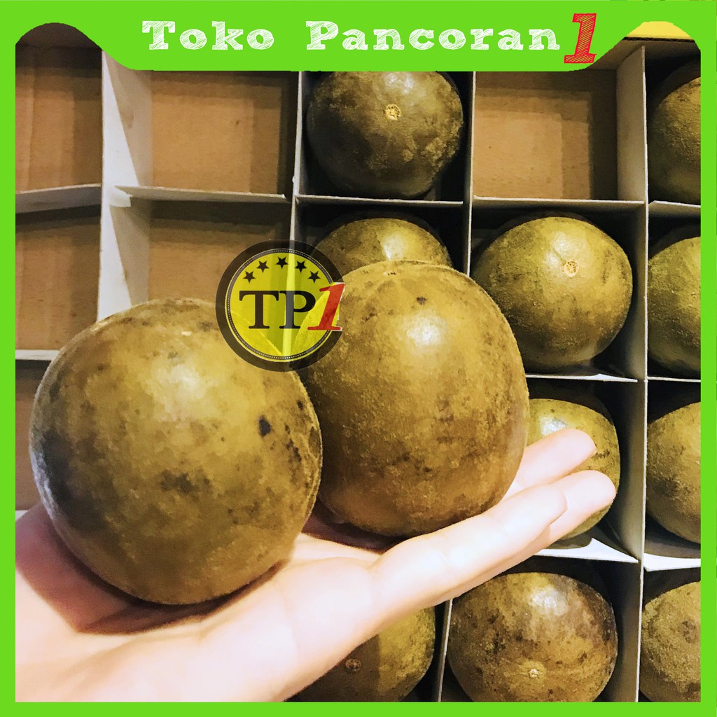 buah Lohankuo Jumbo Besar/monk fruit / luo han kuo untuk panas dalam/Luohankuo Bulat Biji