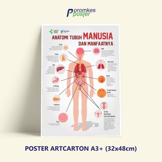 Poster Kesehatan Anatomi Tubuh Manusia