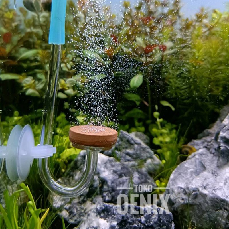 Mini diffuser co2 aquascape ceper